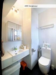 Blk 209C Compassvale View (Sengkang), HDB 4 Rooms #612498181